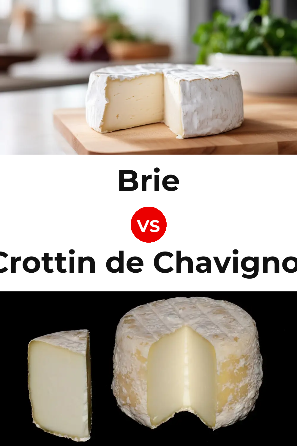 Brie Cheese vs Crottin de Chavignol Cheese Pinterest comparison