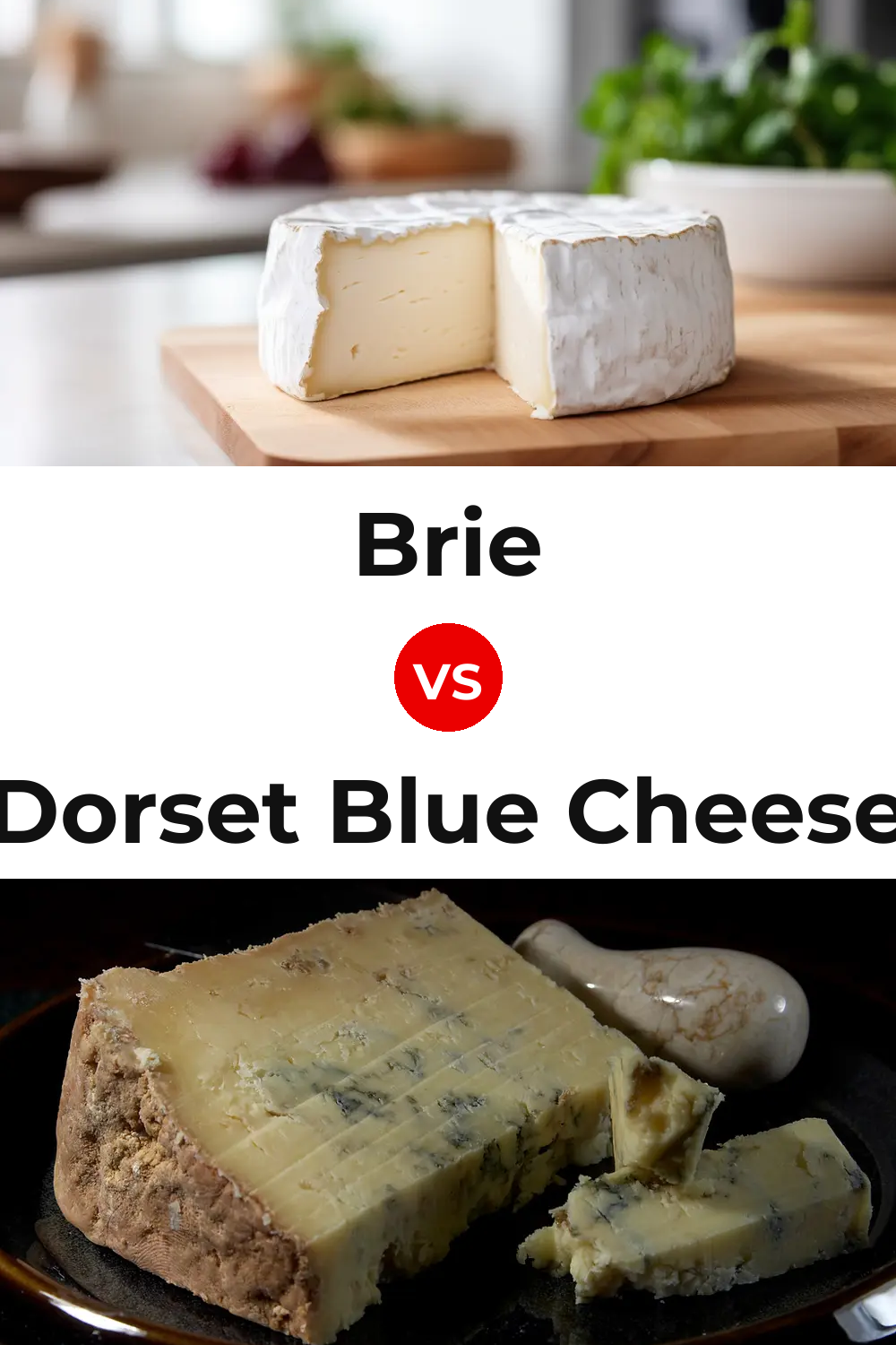 Brie Cheese vs Dorset Blue Cheese Pinterest comparison
