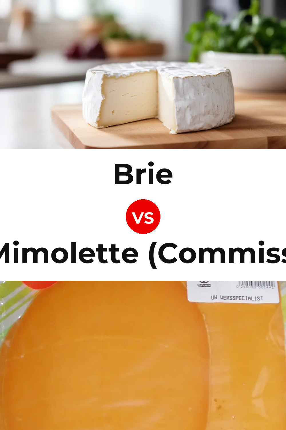 Brie Cheese vs Dutch Mimolette (Commissiekaas) Cheese Pinterest comparison