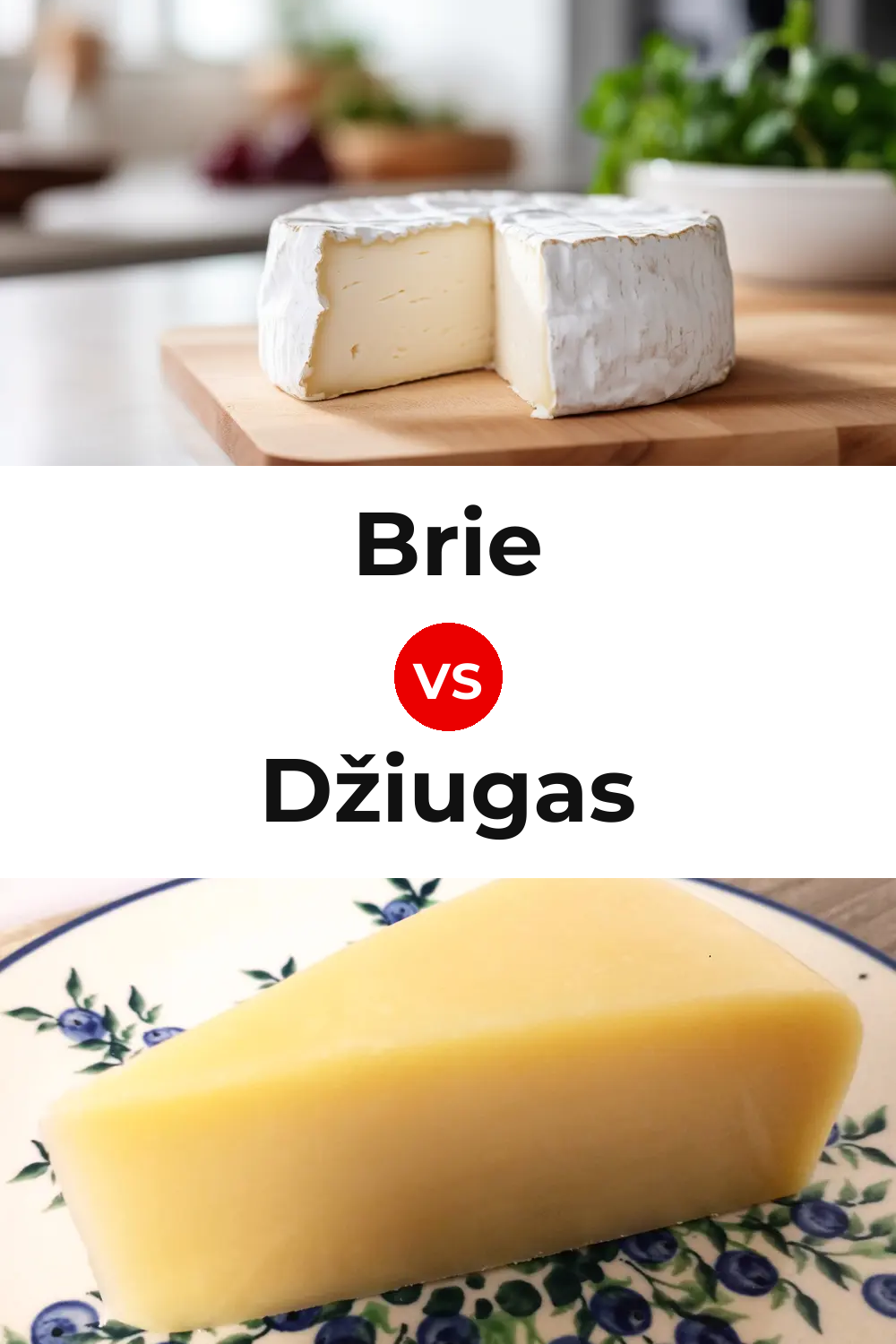 Brie Cheese vs Džiugas Cheese Pinterest comparison