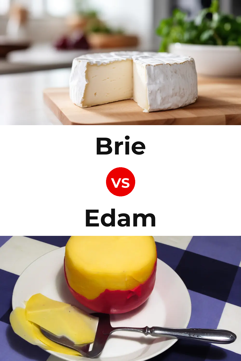 Brie Cheese vs Edam Cheese Pinterest comparison