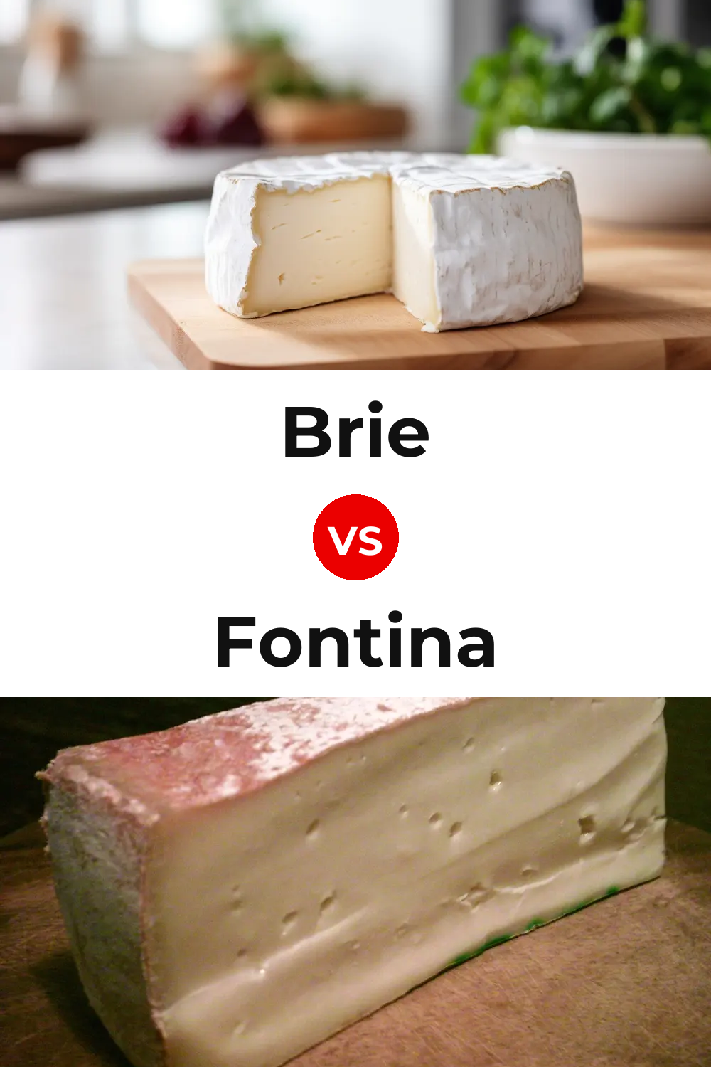 Brie Cheese vs Fontina Cheese Pinterest comparison