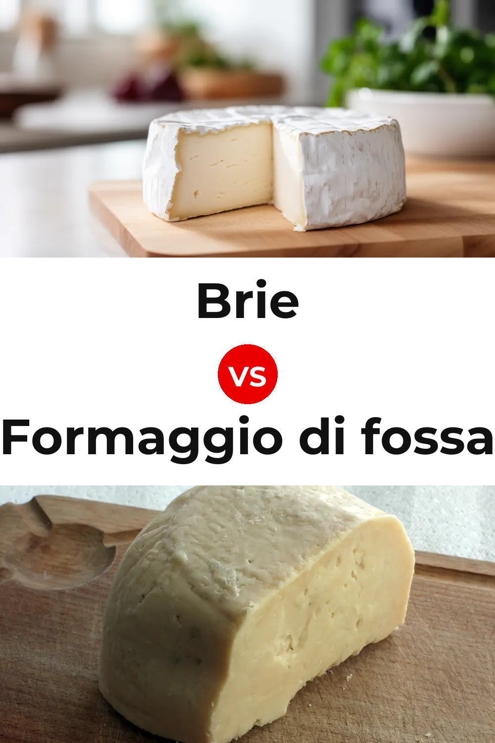 Brie Cheese vs Formaggio di fossa Cheese Pinterest comparison