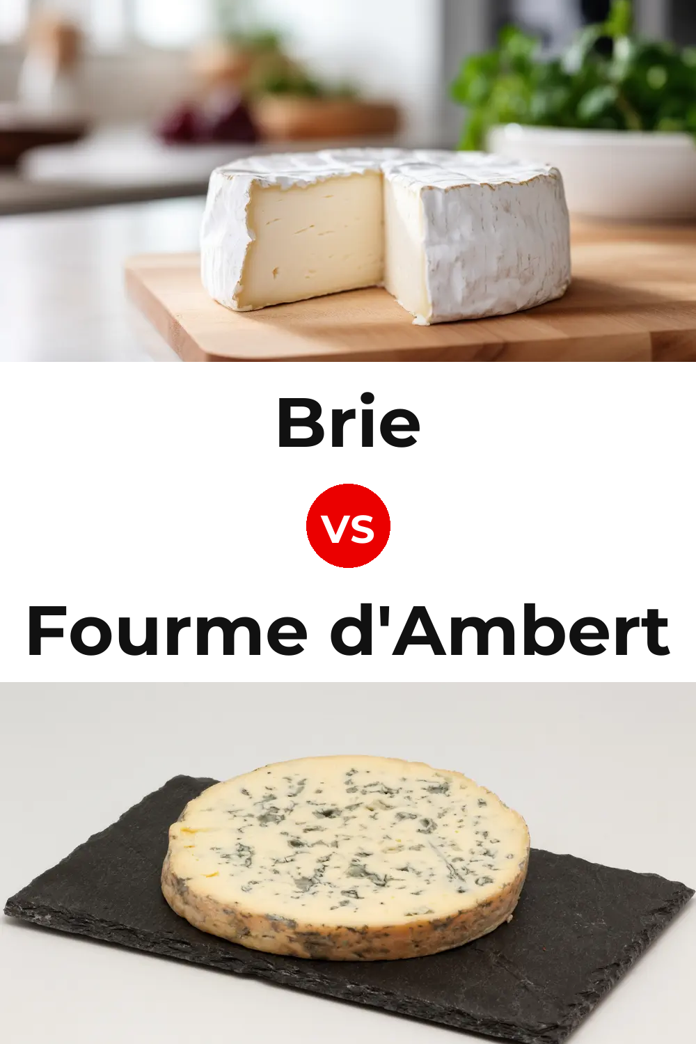 Brie Cheese vs Fourme d'Ambert Cheese Pinterest comparison