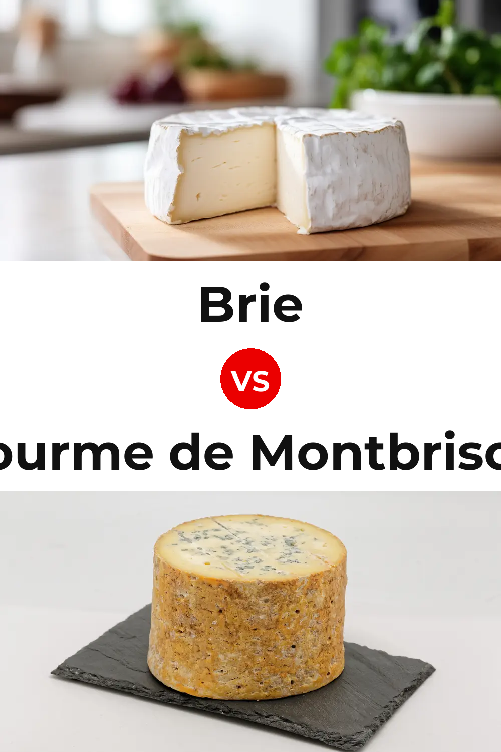 Brie Cheese vs Fourme de Montbrison Cheese Pinterest comparison