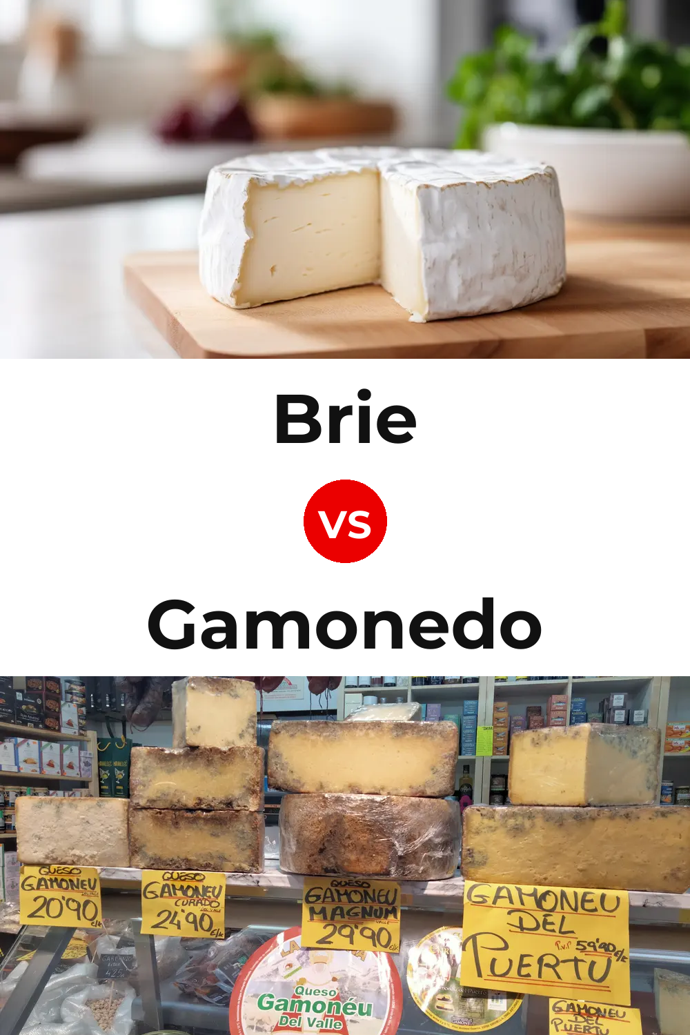 Brie Cheese vs Gamonedo Cheese Pinterest comparison