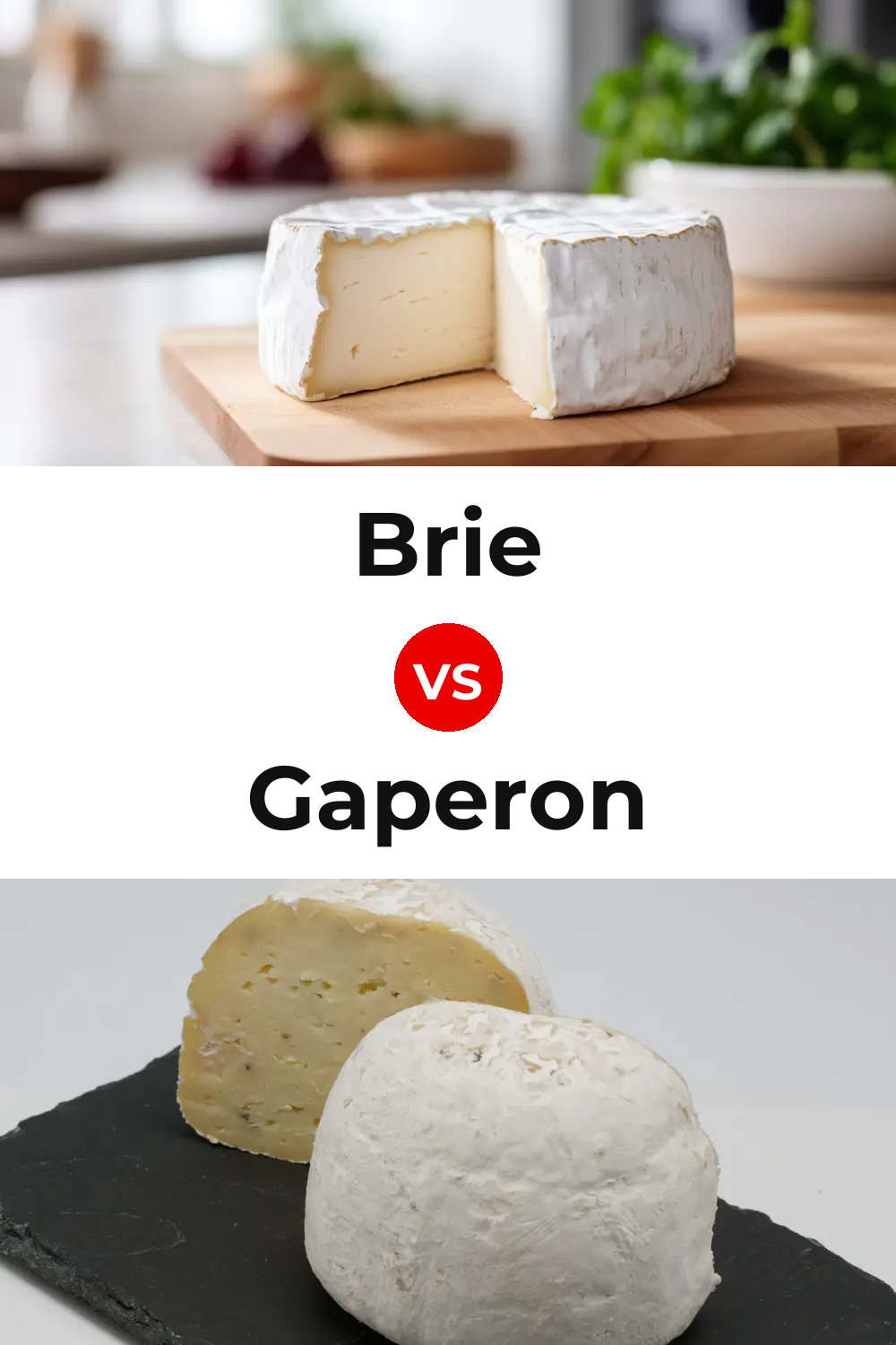 Brie Cheese vs Gaperon Cheese Pinterest comparison