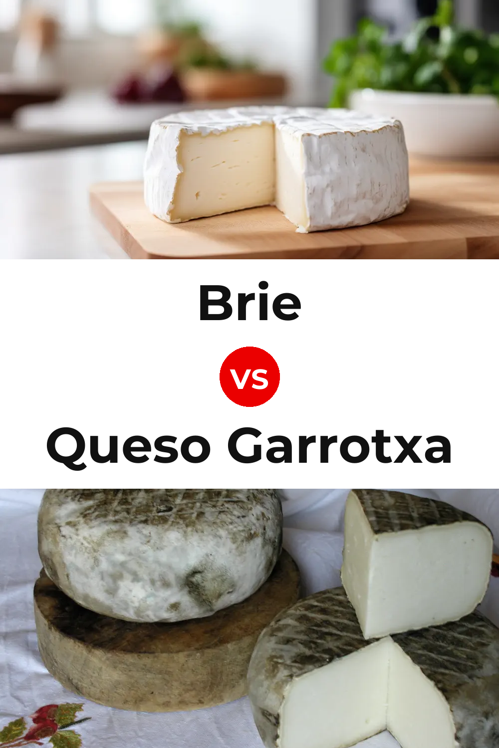 Brie Cheese vs Queso Garrotxa Pinterest comparison