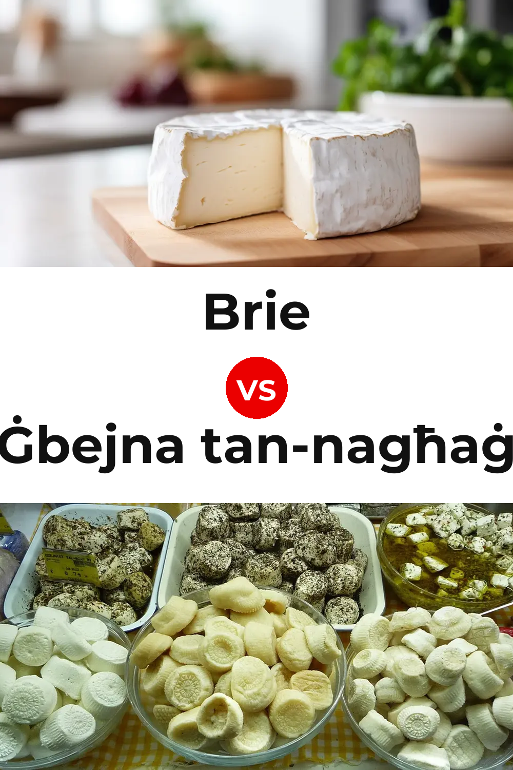 Brie Cheese vs Ġbejna tan-nagħaġ Cheese Pinterest comparison