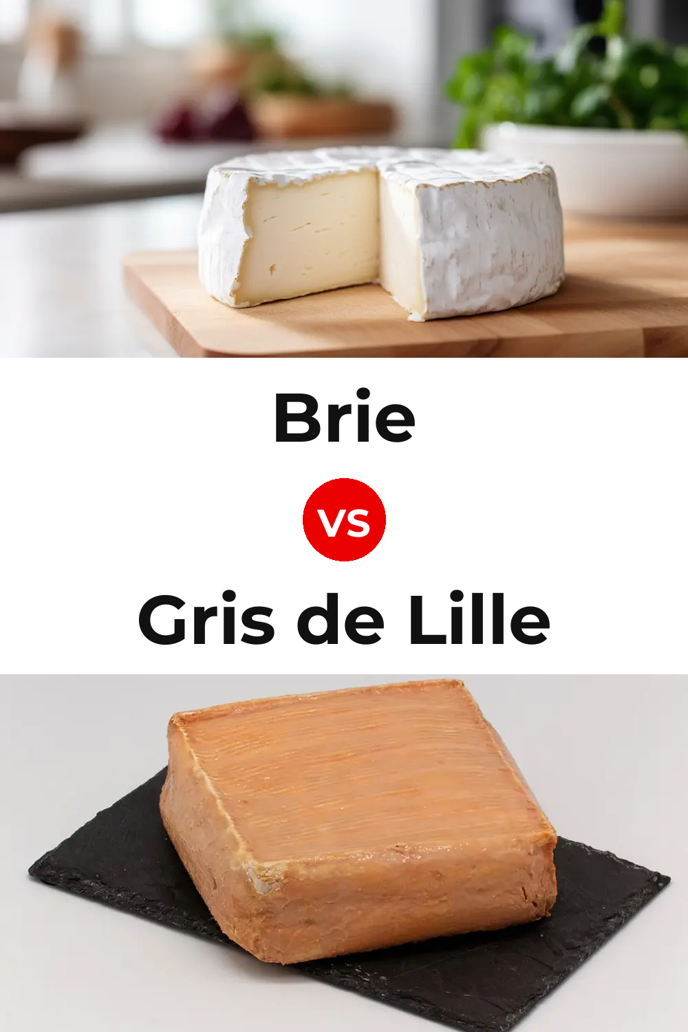 Brie Cheese vs Gris de Lille Cheese Pinterest comparison