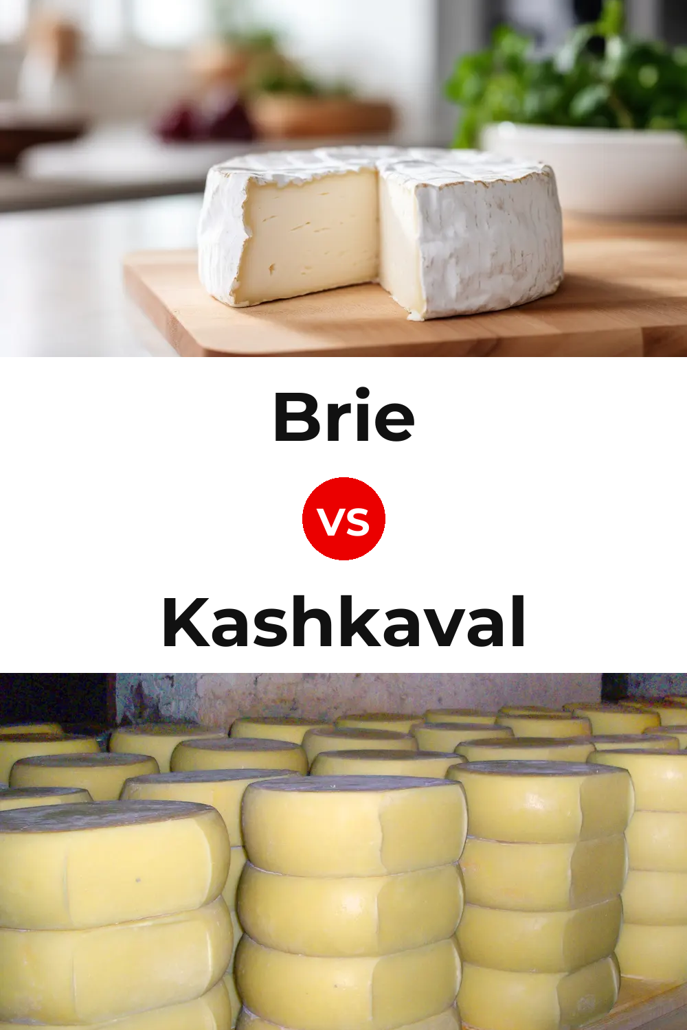 Brie Cheese vs Kashkaval Cheese Pinterest comparison