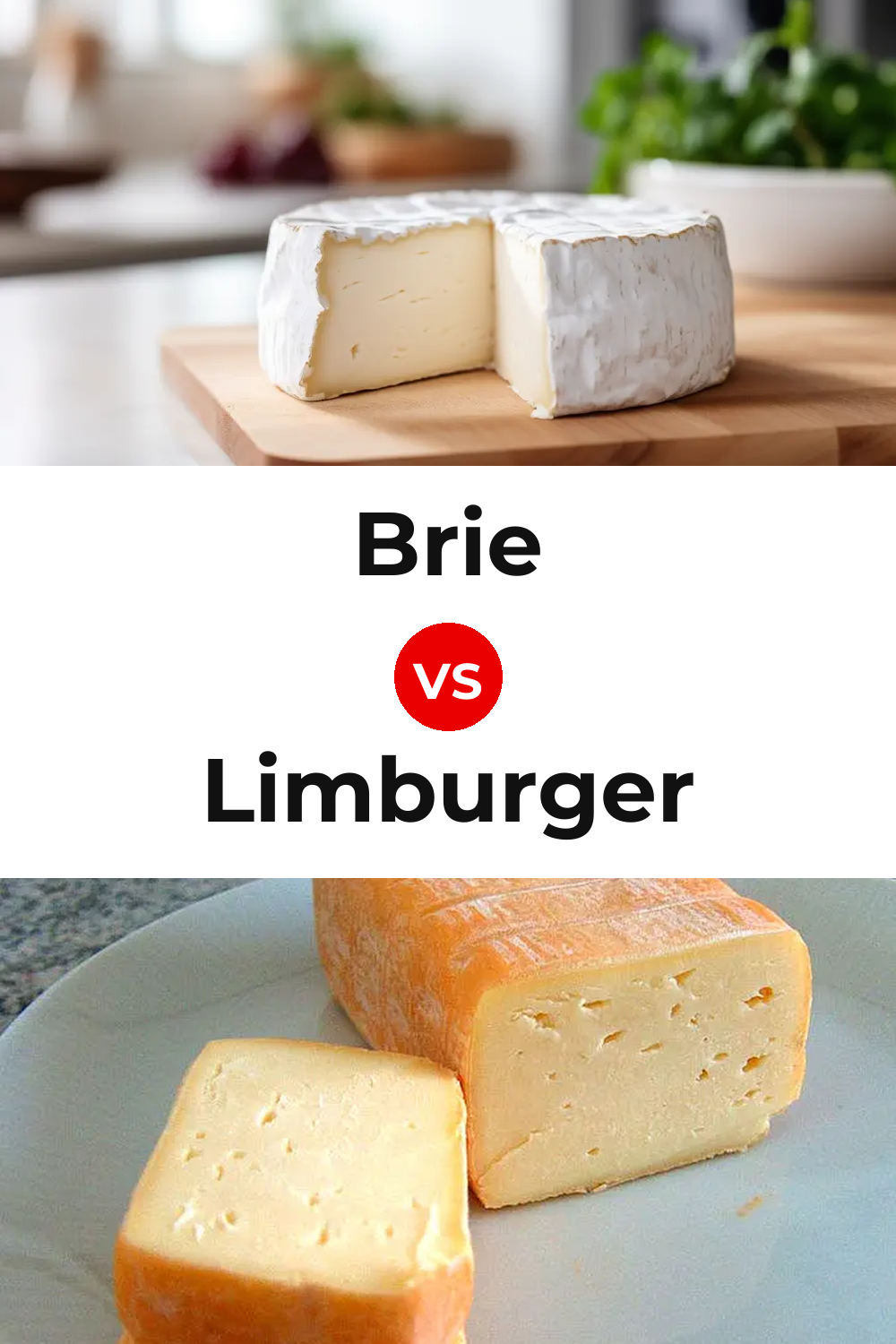 Brie Cheese vs Limburger Cheese Pinterest comparison