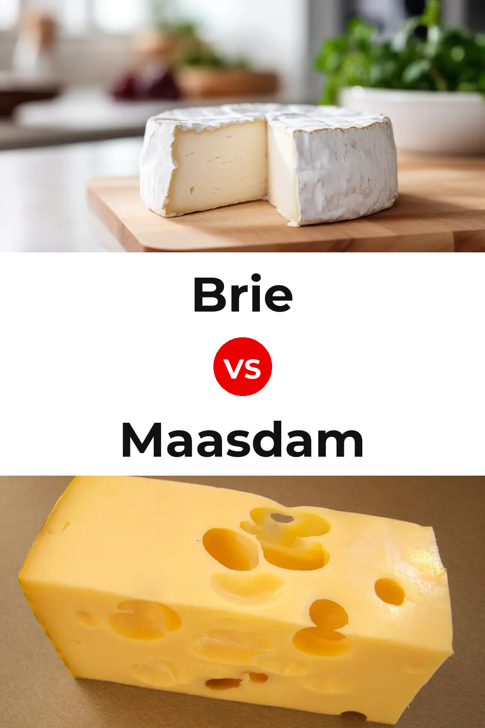 Brie Cheese vs Maasdam Cheese Pinterest comparison