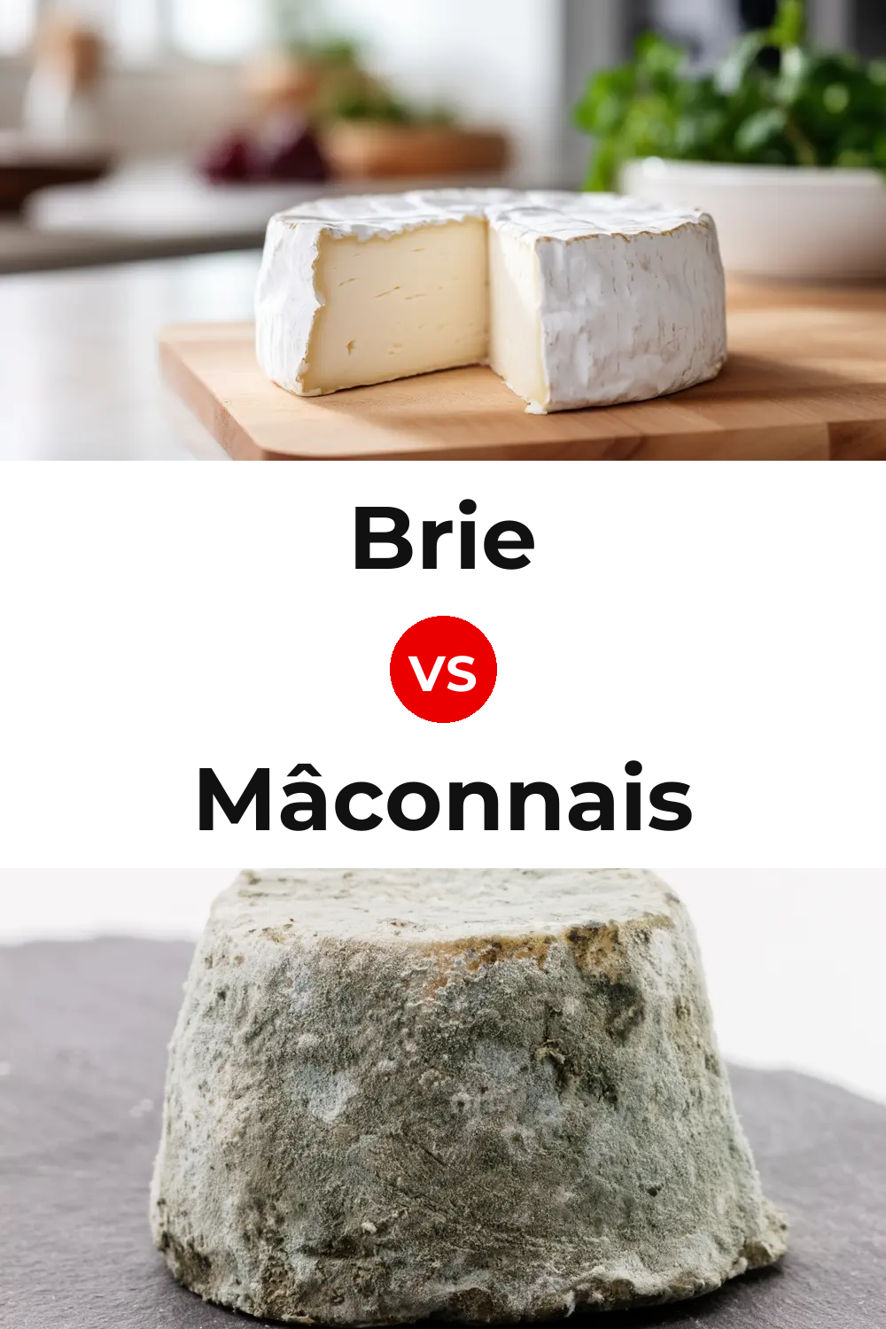 Brie Cheese vs Mâconnais Cheese Pinterest comparison