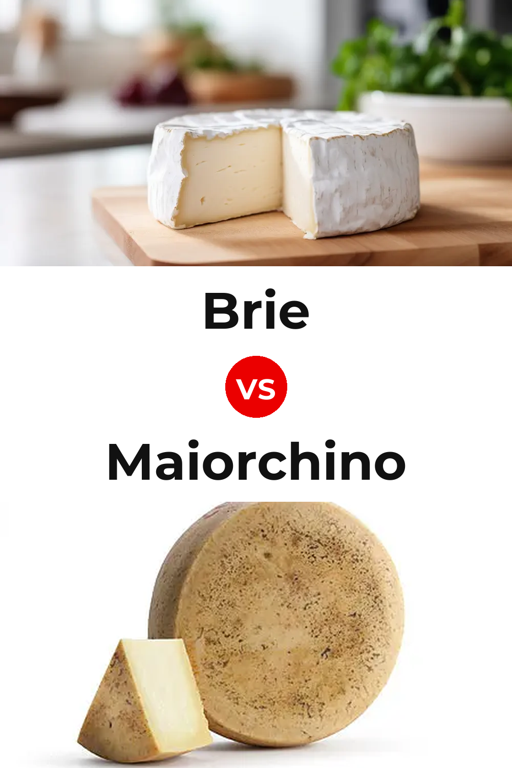 Brie Cheese vs Maiorchino Cheese Pinterest comparison