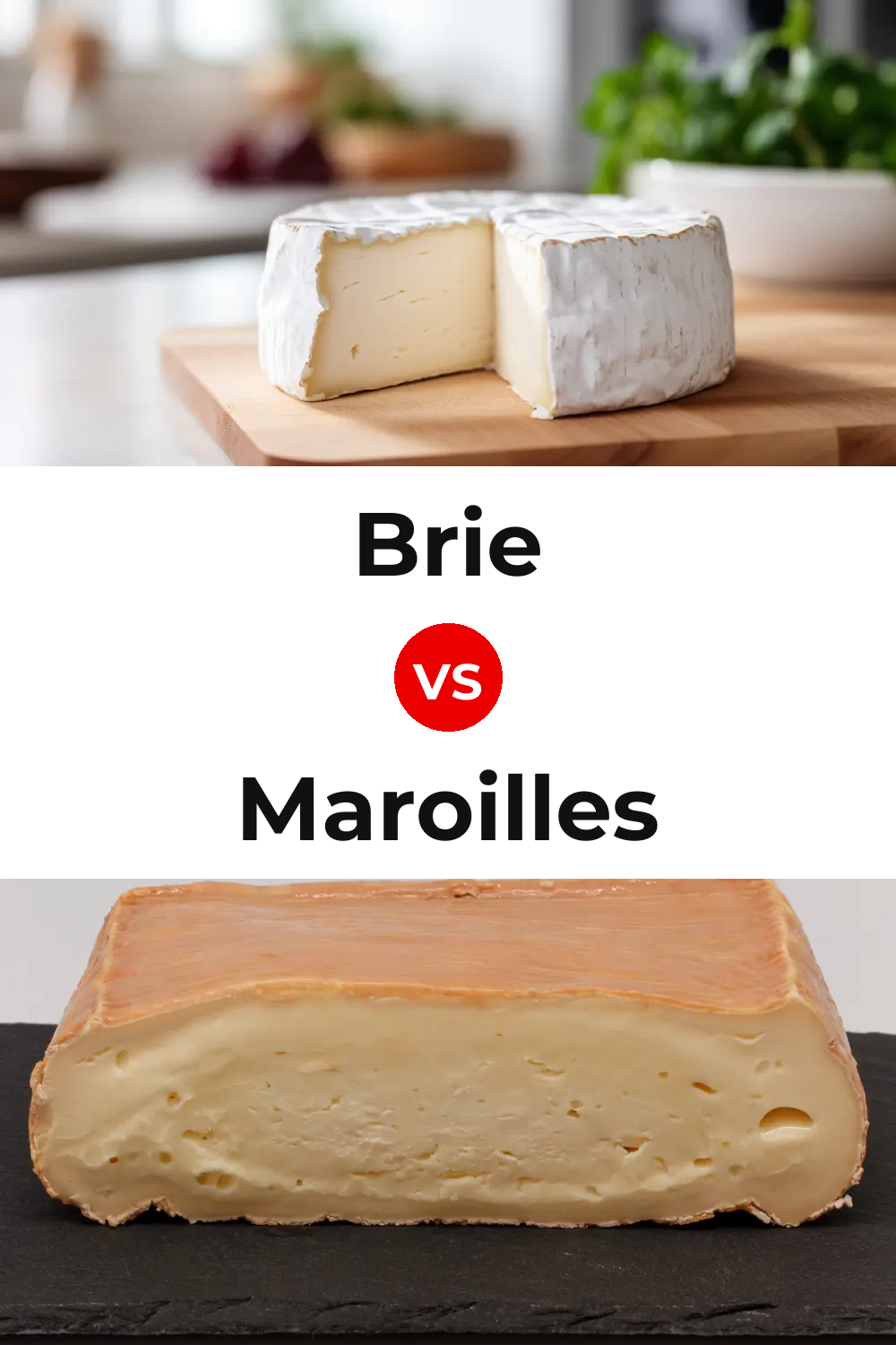 Brie Cheese vs Maroilles Cheese Pinterest comparison