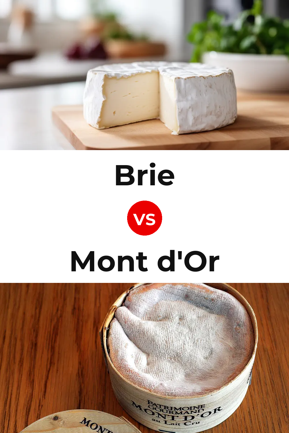 Brie Cheese vs Mont d'Or Cheese Pinterest comparison