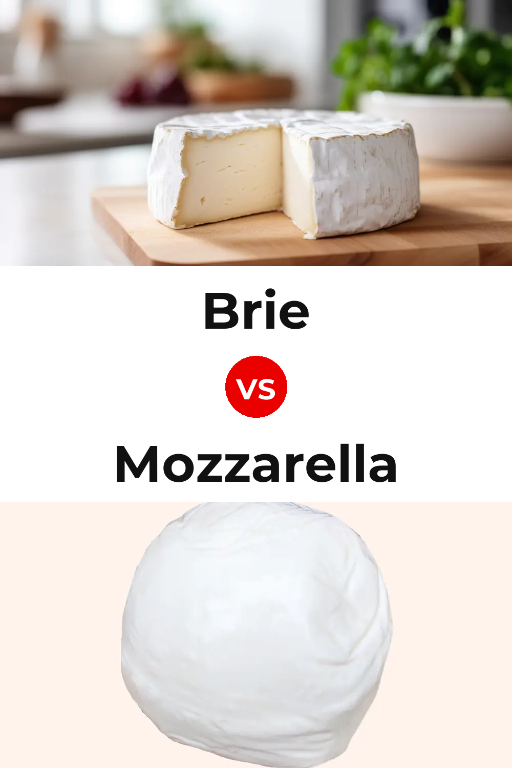 Brie Cheese vs Mozzarella Cheese Pinterest comparison