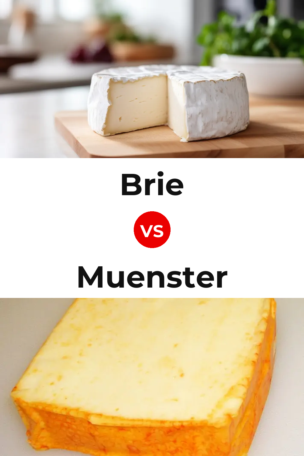 Brie Cheese vs Muenster Cheese Pinterest comparison