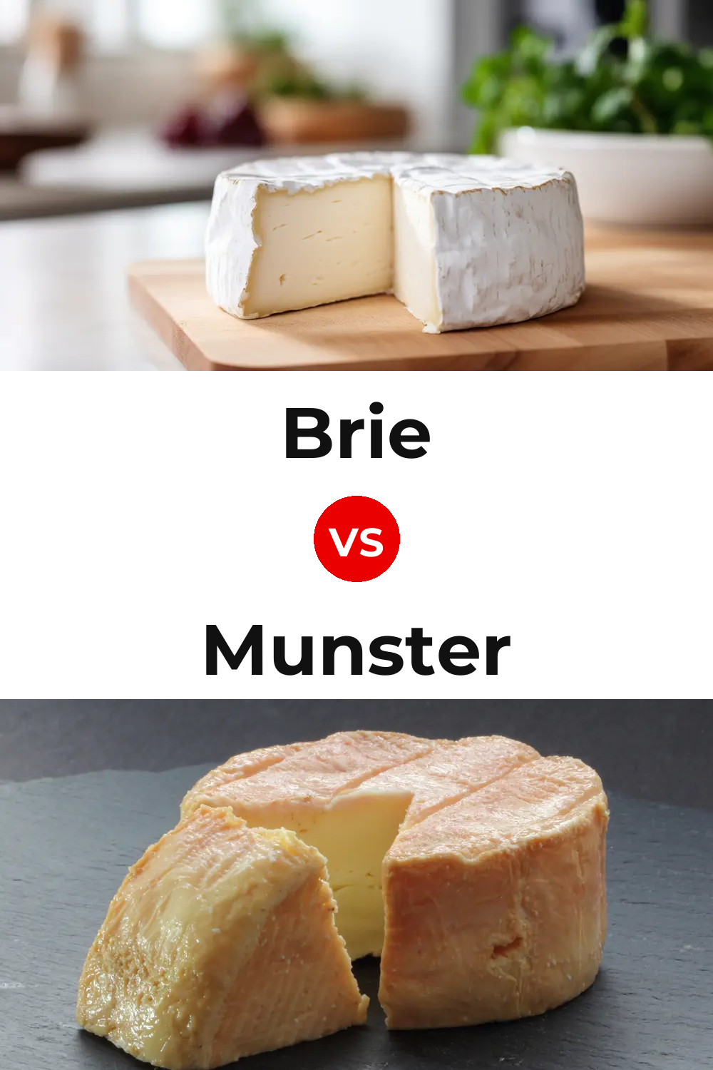 Brie Cheese vs Munster Cheese Pinterest comparison