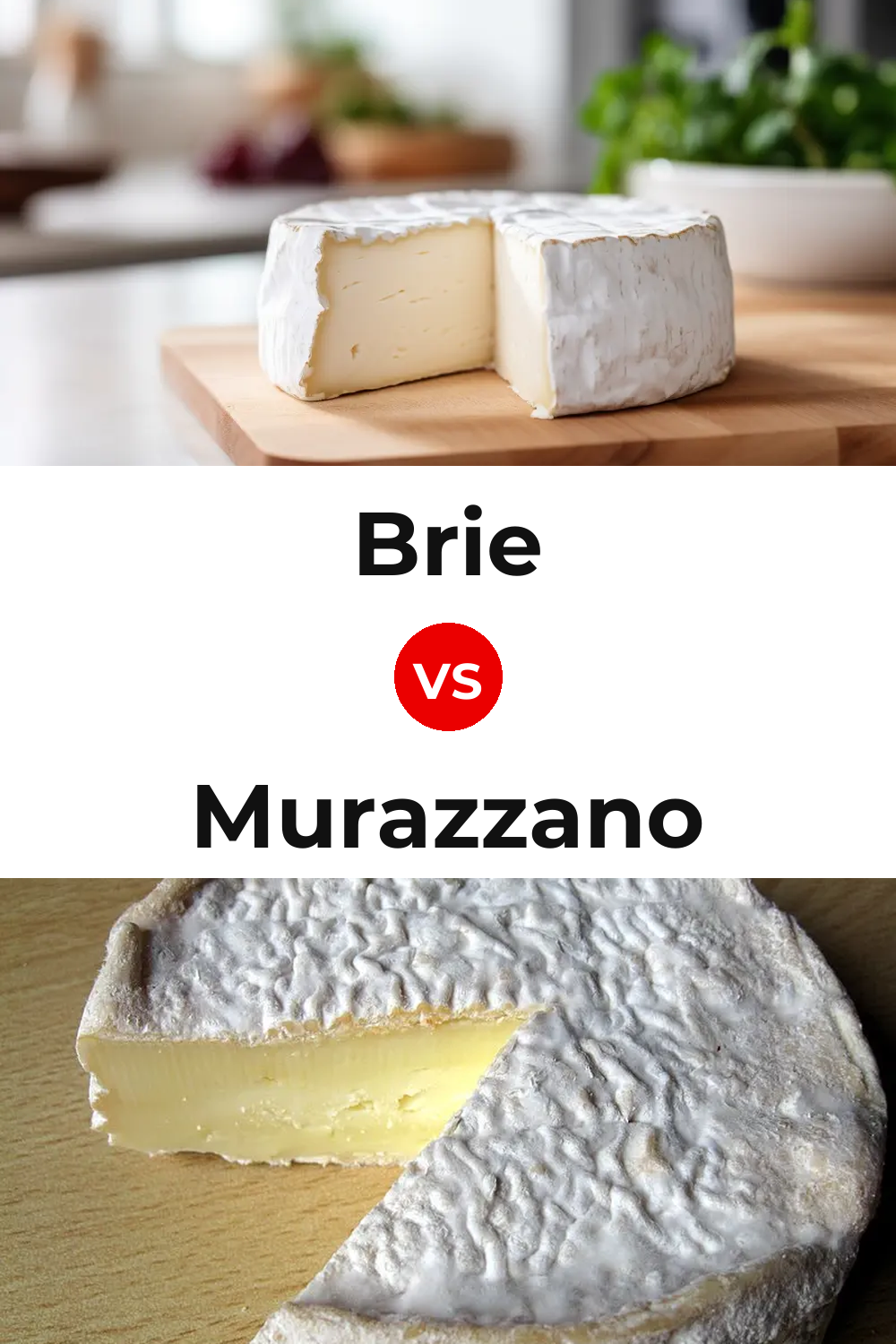 Brie Cheese vs Murazzano Cheese Pinterest comparison