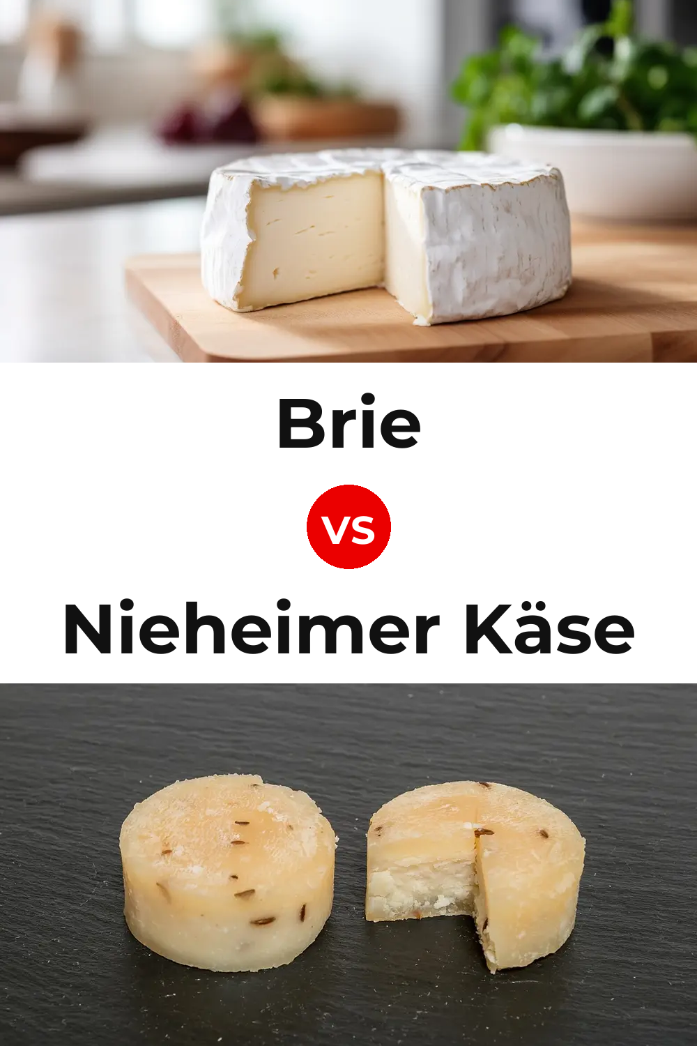 Brie Cheese vs Nieheimer Käse Cheese Pinterest comparison