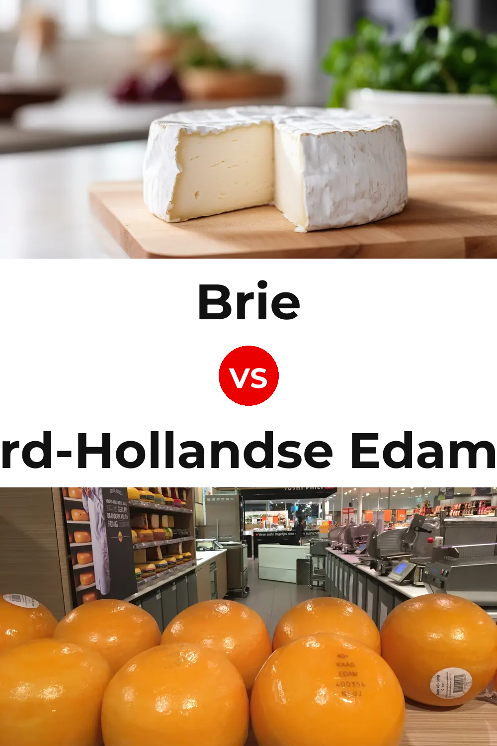 Brie Cheese vs Noord-Hollandse Edammer Cheese Pinterest comparison