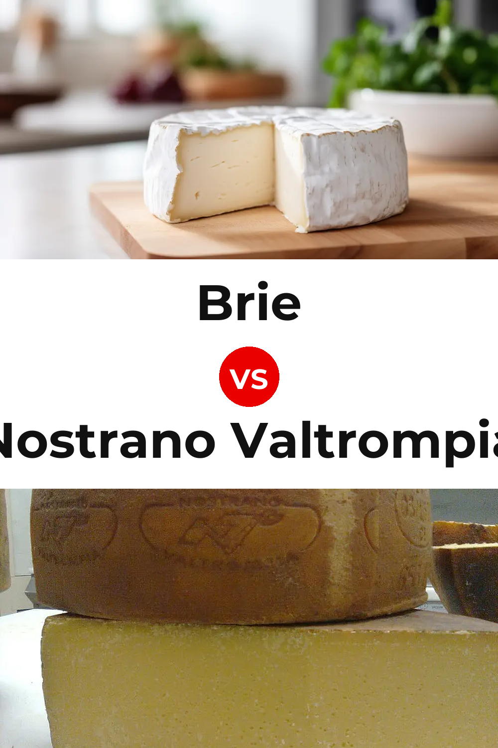 Brie Cheese vs Nostrano Valtrompia Cheese Pinterest comparison