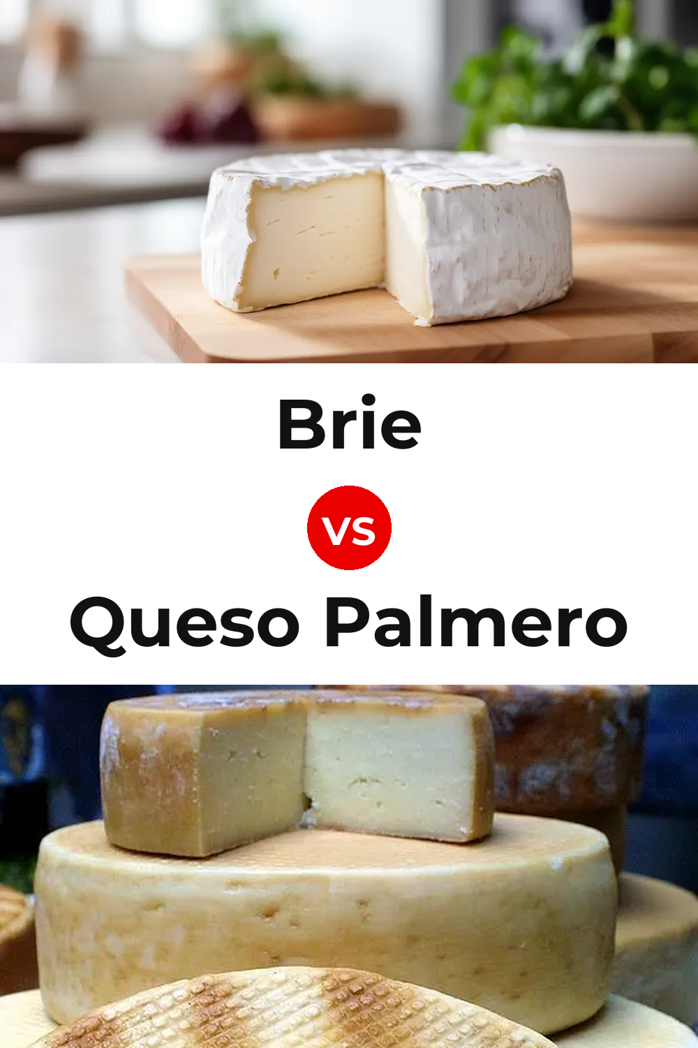 Brie Cheese vs Queso Palmero Pinterest comparison