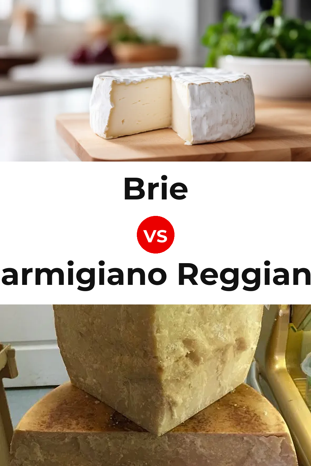 Brie Cheese vs Parmigiano Reggiano Cheese Pinterest comparison