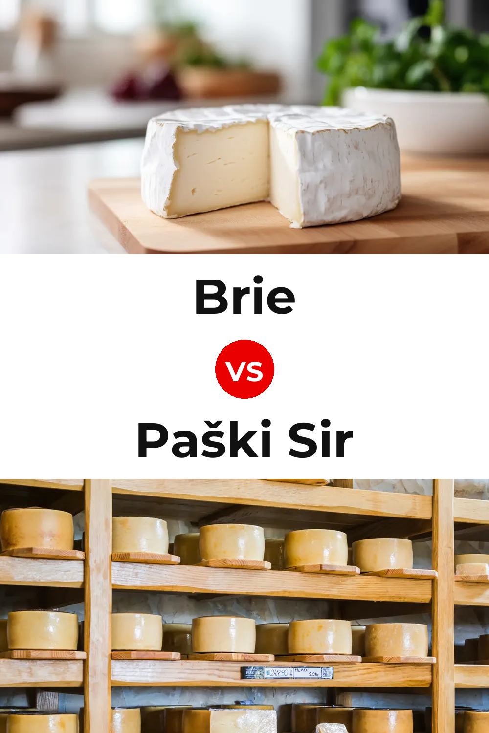 Brie Cheese vs Paški Sir Cheese Pinterest comparison