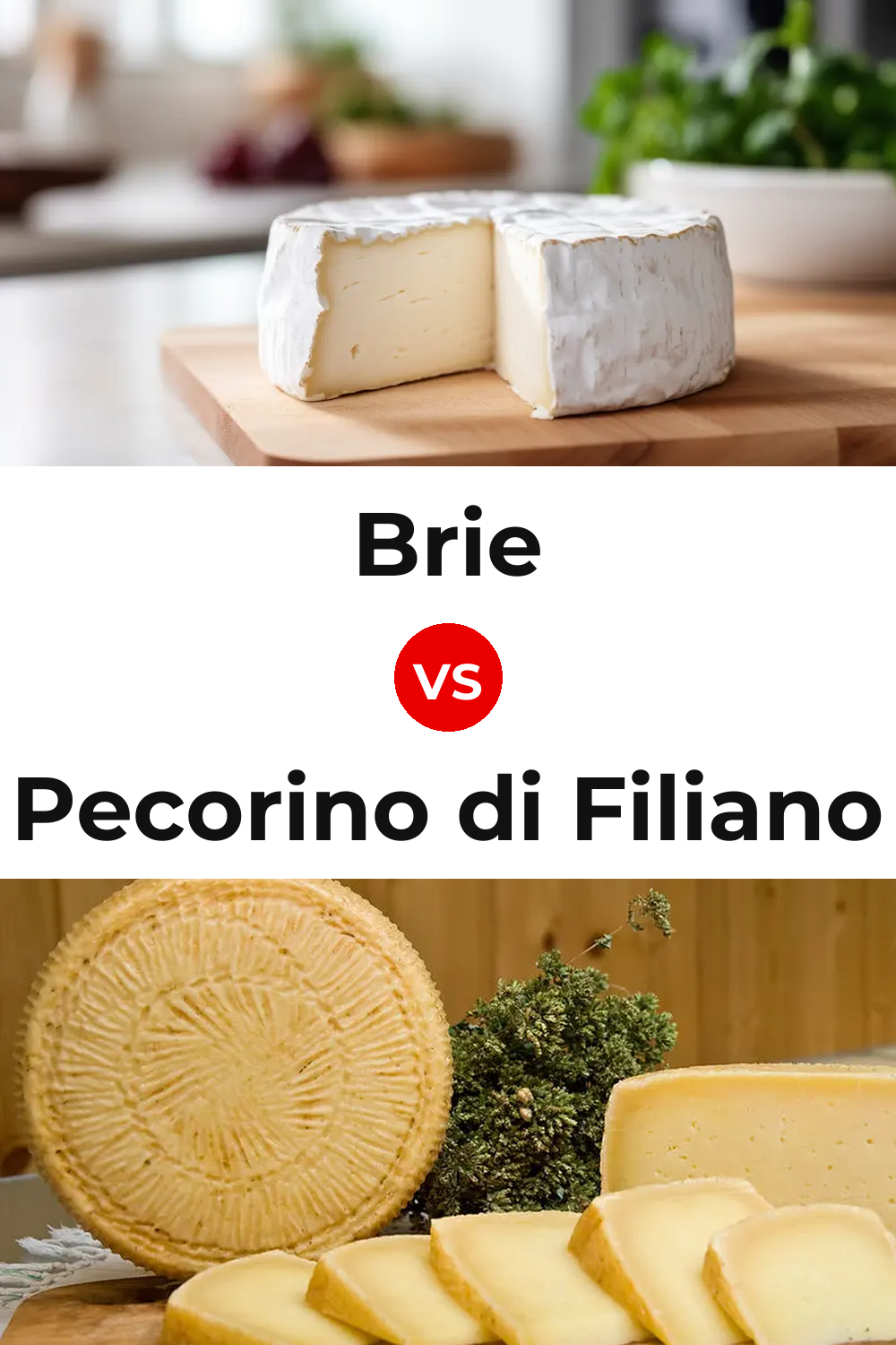 Brie Cheese vs Pecorino di Filiano Cheese Pinterest comparison