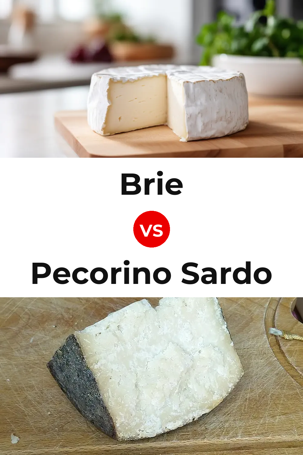 Brie Cheese vs Pecorino Sardo Cheese Pinterest comparison
