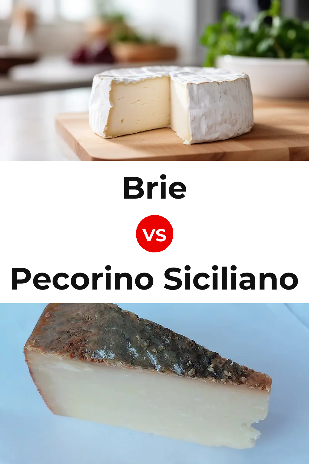 Brie Cheese vs Pecorino Siciliano Cheese Pinterest comparison