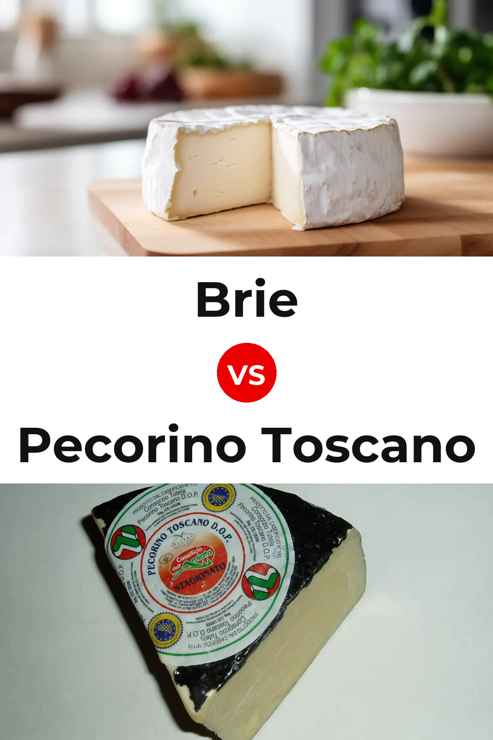 Brie Cheese vs Pecorino Toscano Cheese Pinterest comparison