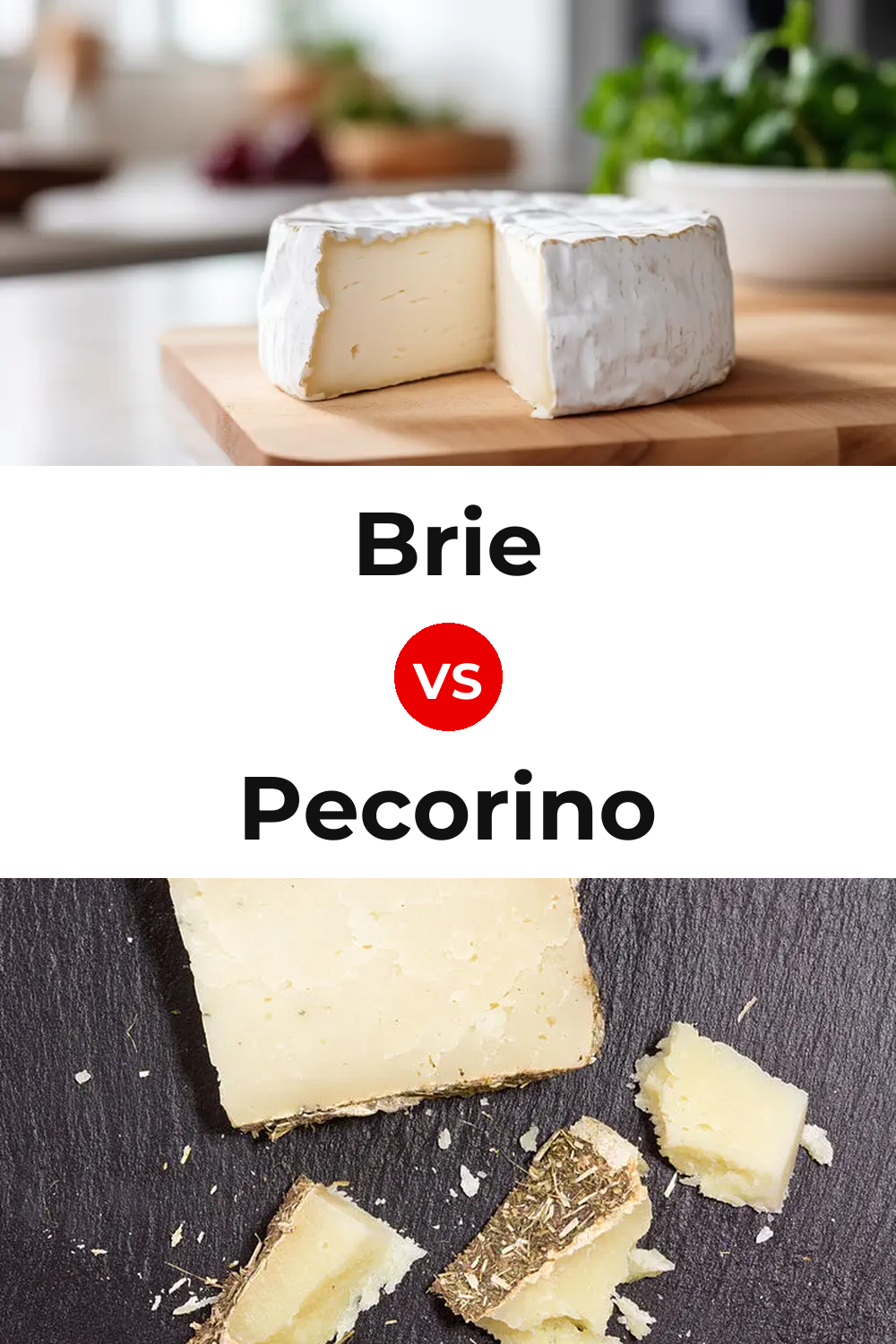 Brie Cheese vs Pecorino Cheese Pinterest comparison