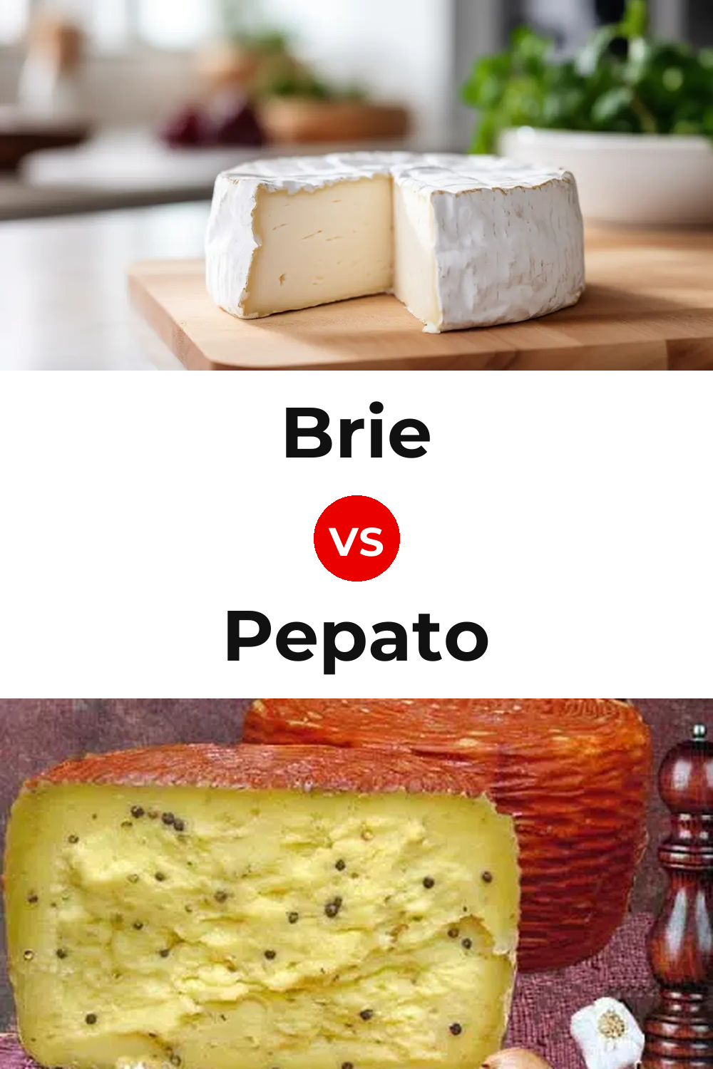 Brie Cheese vs Pepato Cheese Pinterest comparison