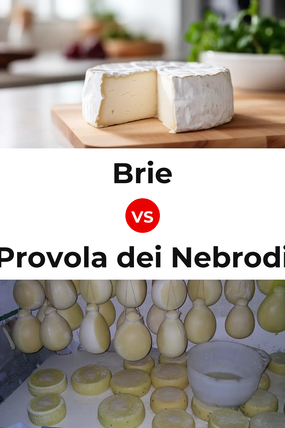 Brie Cheese vs Provola dei Nebrodi Cheese Pinterest comparison