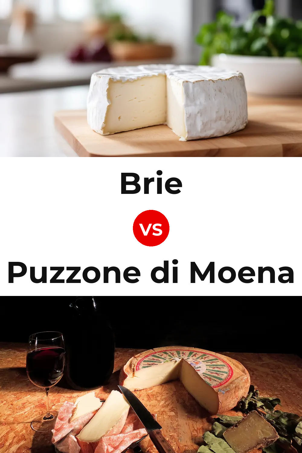 Brie Cheese vs Puzzone di Moena Cheese Pinterest comparison