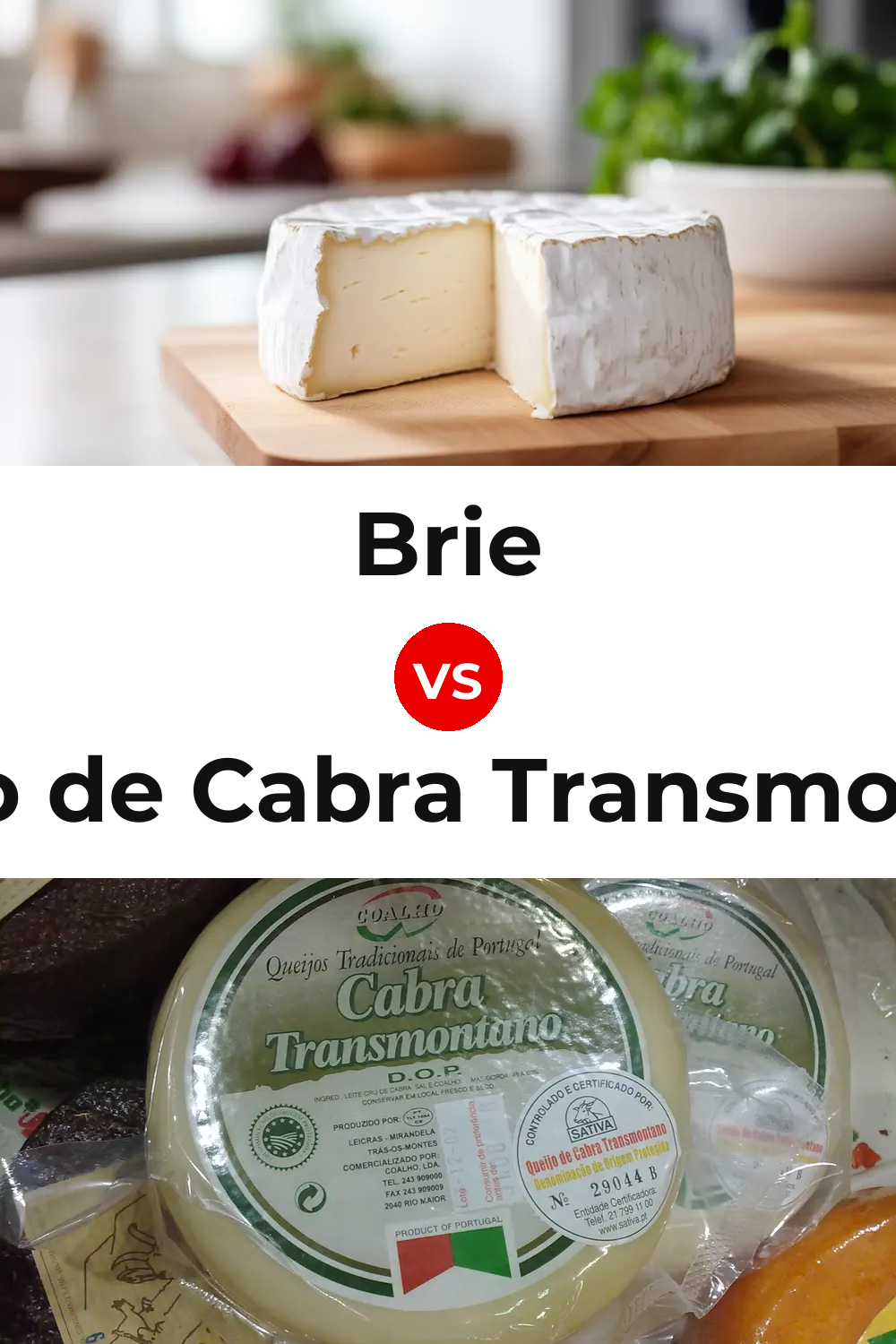 Brie Cheese vs Queijo de Cabra Transmontano Pinterest comparison