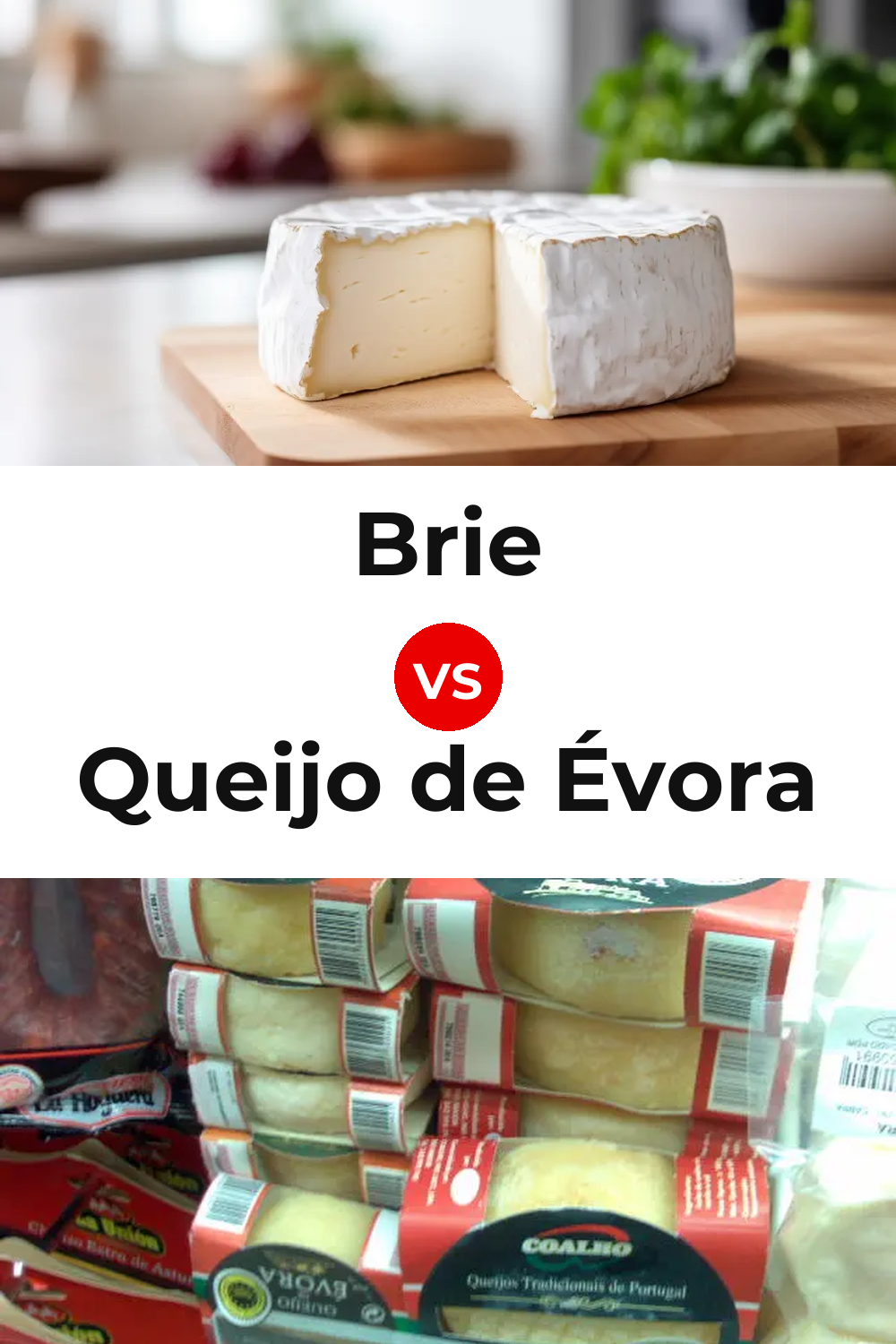 Brie Cheese vs Queijo de Évora Pinterest comparison