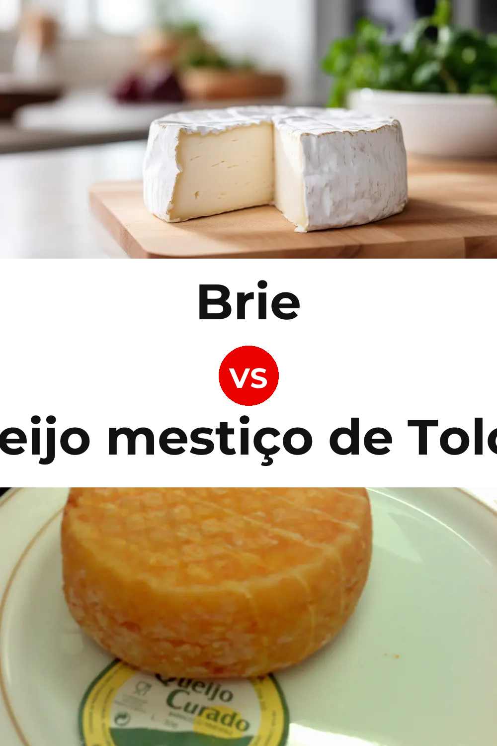 Brie Cheese vs Queijo mestiço de Tolosa Pinterest comparison