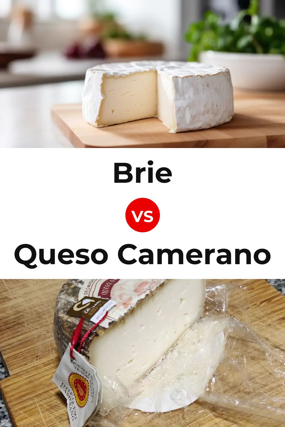Brie Cheese vs Queso Camerano Pinterest comparison