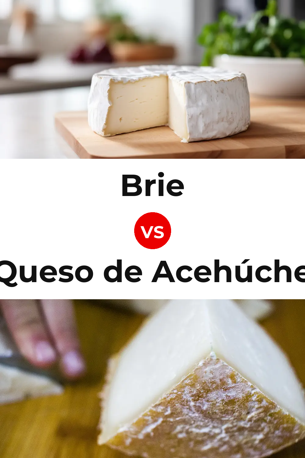 Brie Cheese vs Queso de Acehúche Pinterest comparison