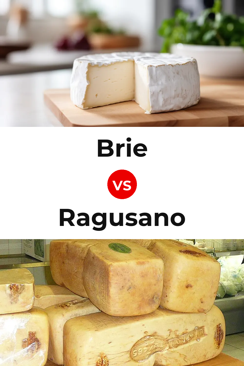 Brie Cheese vs Ragusano Cheese Pinterest comparison