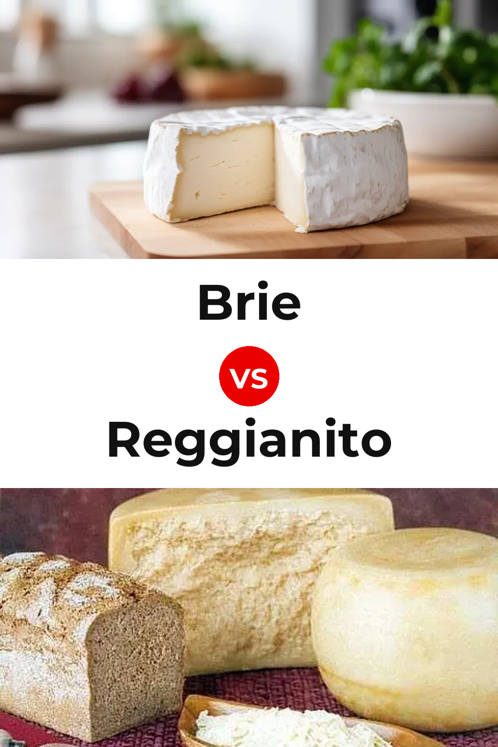 Brie Cheese vs Reggianito Cheese Pinterest comparison