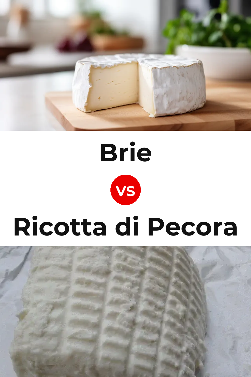 Brie Cheese vs Ricotta di Pecora Cheese Pinterest comparison