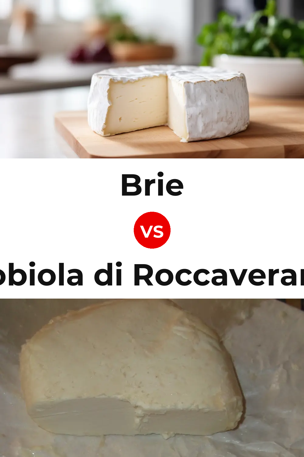 Brie Cheese vs Robiola di Roccaverano Cheese Pinterest comparison