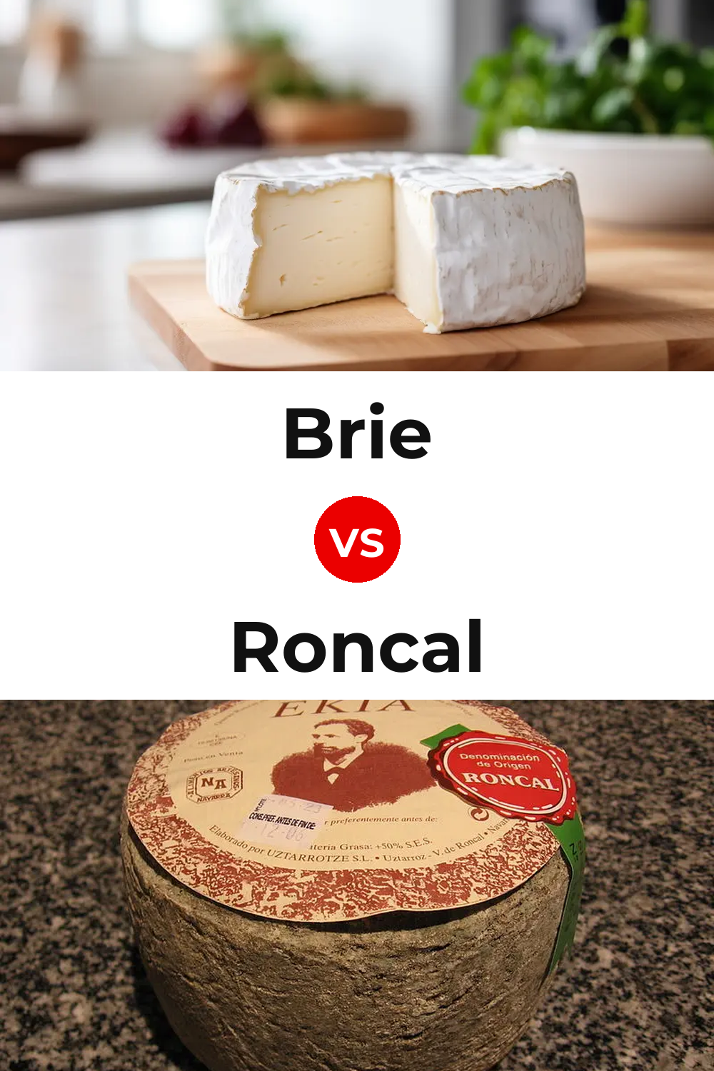 Brie Cheese vs Roncal Cheese Pinterest comparison