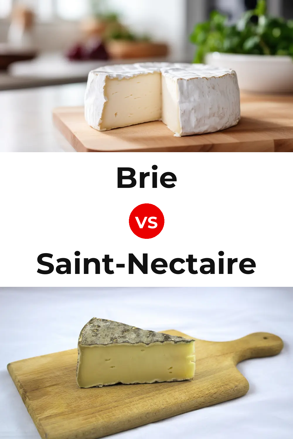 Brie Cheese vs Saint-Nectaire Cheese Pinterest comparison
